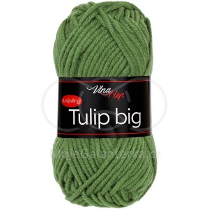 Příze Tulip Big, 41309, zelená